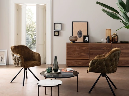 Madia moderna Geko di Alta Corte