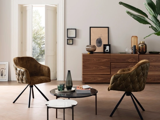 Madia moderna Geko di Alta Corte